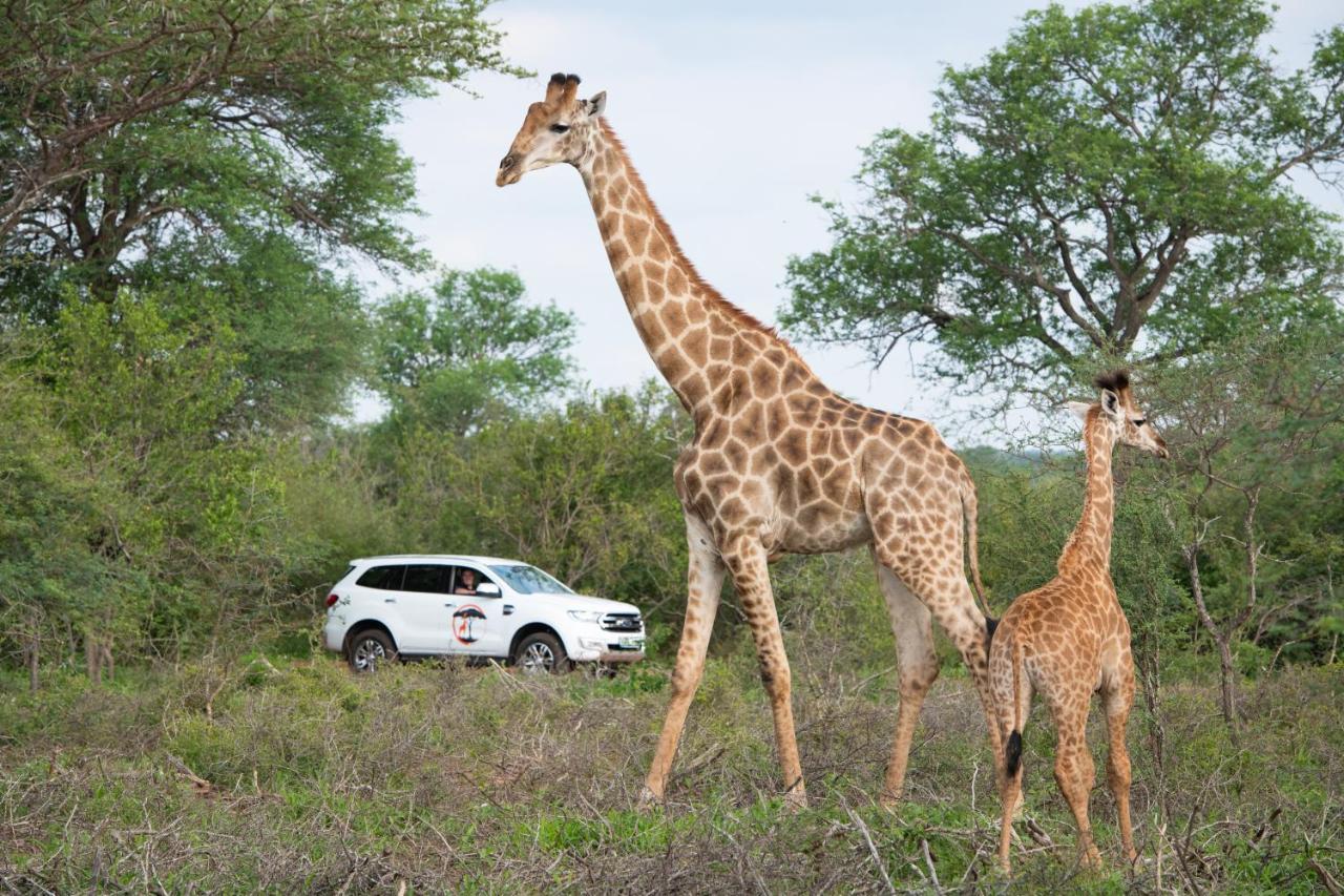 Twiga Travel Villa Hoedspruit Exteriör bild